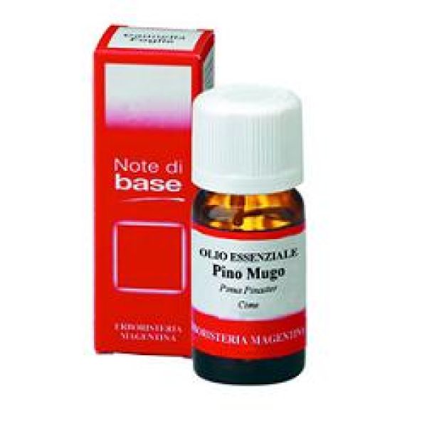 Note di base Pino Mugo Olio Essenziale 10 ml