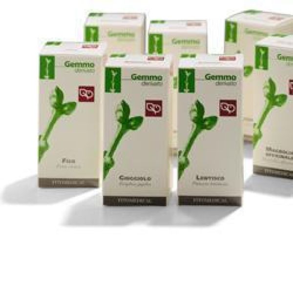 Fitomedical Fico Macerato Glicerico 100 ml