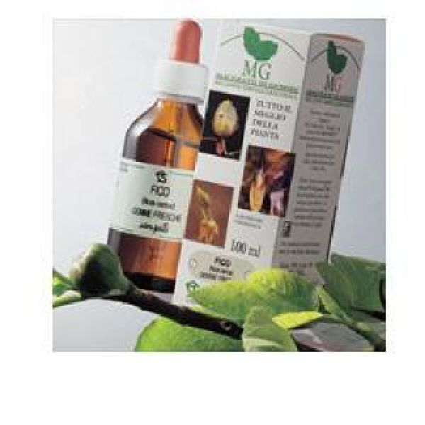 Betula Verrucosa Macerato Glicerico 100 ml