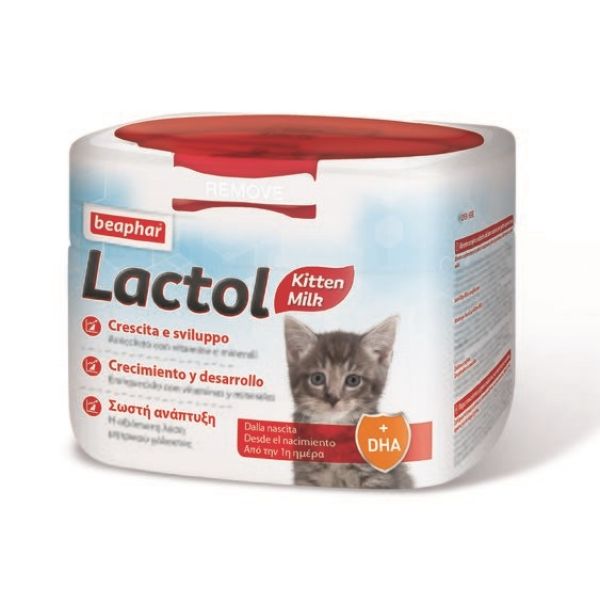 Lactol Latte Gattino Powder 200 g