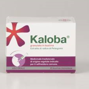 Kaloba - 800 mg Granulato in Bustina 21 Bustine in Pet/al/pe