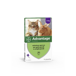 Advantage - 80 mg Soluzione Spot On per Gatti E Conigli Grandi 4 Pipette da 0,8 ml