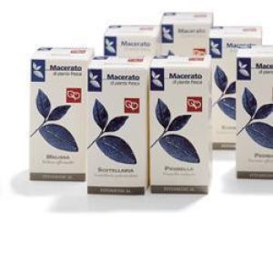 Rusco Tintura Madre 50 ml