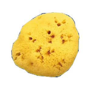Spugna Nat Fori L 10/11 Cm 7