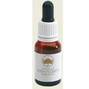 Red Suva Frangipani Australian 15 ml