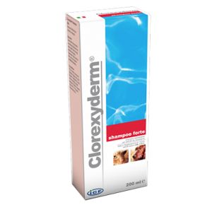 Clorexyderm Shampoo Forte 200 ml
