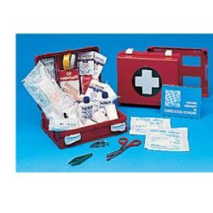 Cassetta Pronto Soccorso Family per Campeggio, Bricolage, Casa E Ufficio. Contenitore in Abs Antiurto con Supporto per Il Fissaggio Alla Parete