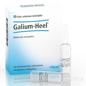 Heel Galium 10 Fiale da 1,1 ml L'una