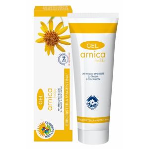Arnica Gel Freddo 100 ml