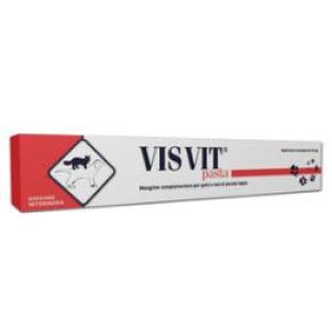 Visvit Pasta Os Siringa 15 g