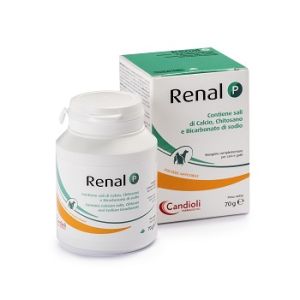 Renal P Mangime Complementare per Cani E Gatti Barattolo 70 g