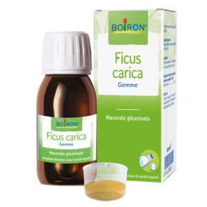Ficus Carica Boiron Macerato Glicerico 60 ml