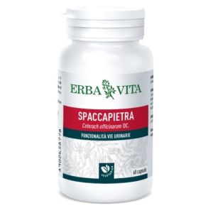 Spaccapietra 60 Capsule
