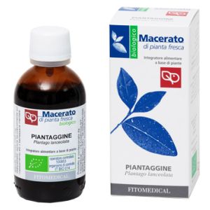 Piantaggine Tintura Madre 50 ml Bio