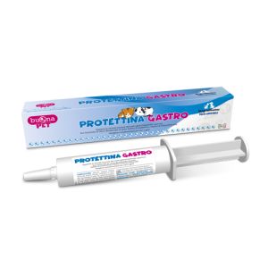 Protettina Gastro Pasta in Siringa 30 g