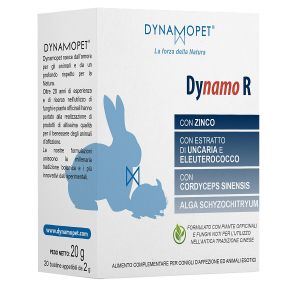 Dynamo R 20 Bustine da 2 g