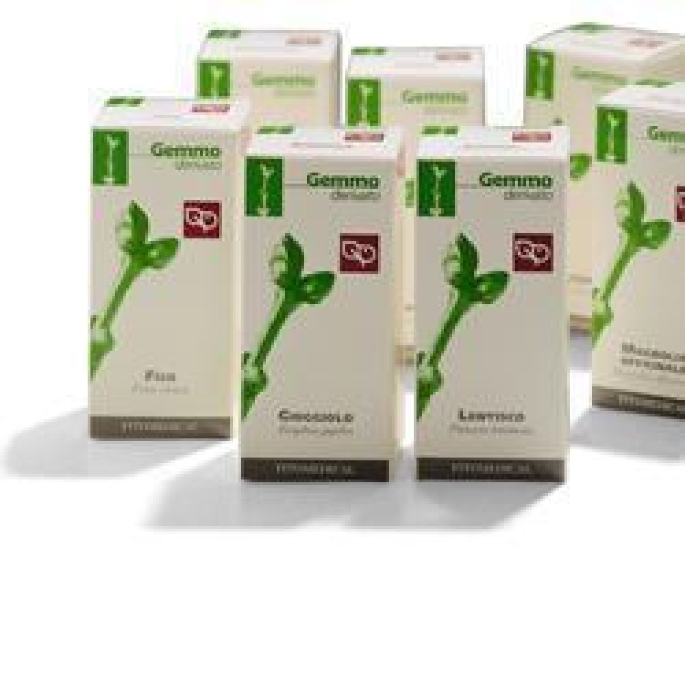 Fitomedical Fico Macerato Glicerico 100 ml