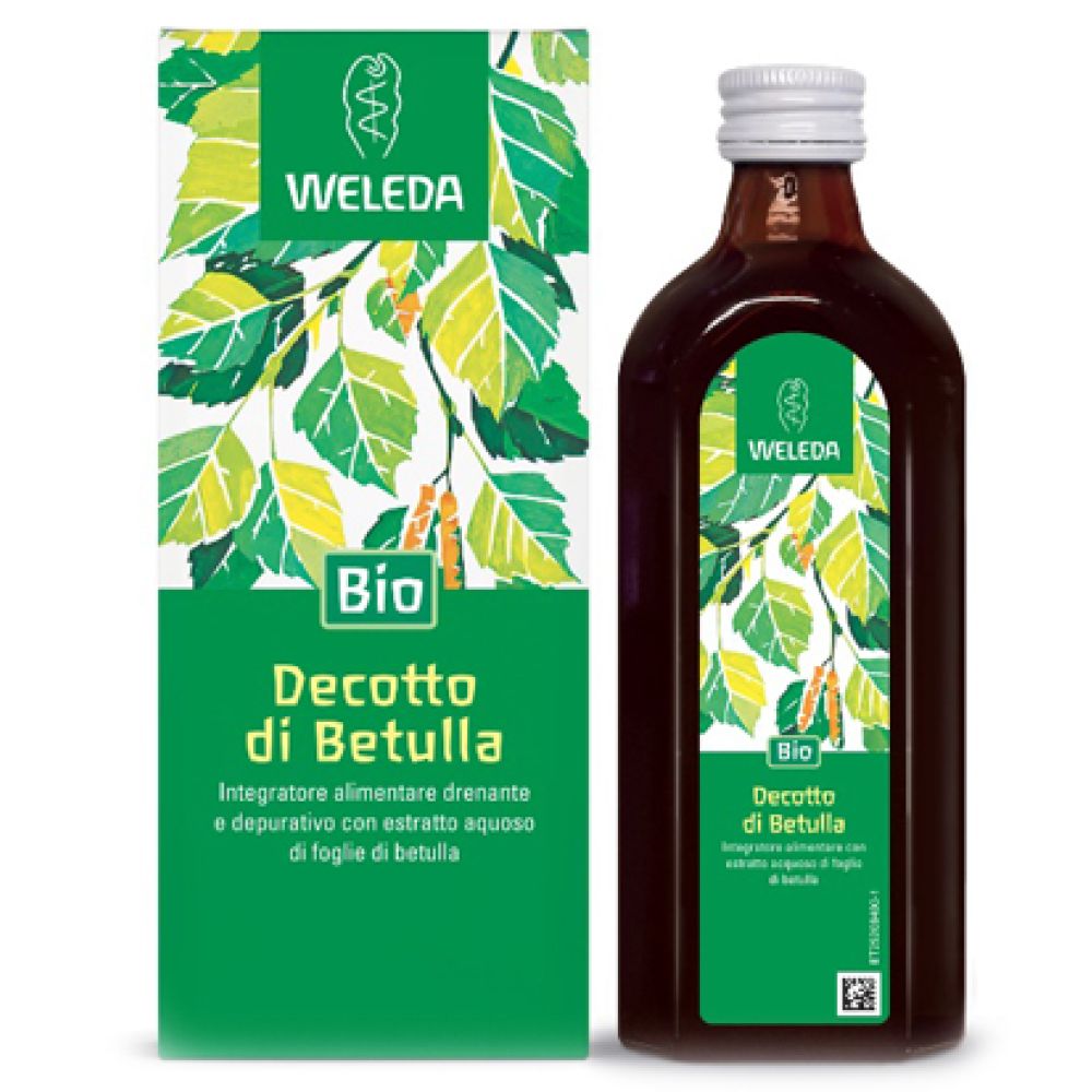 Decotto di Betulla 250 ml