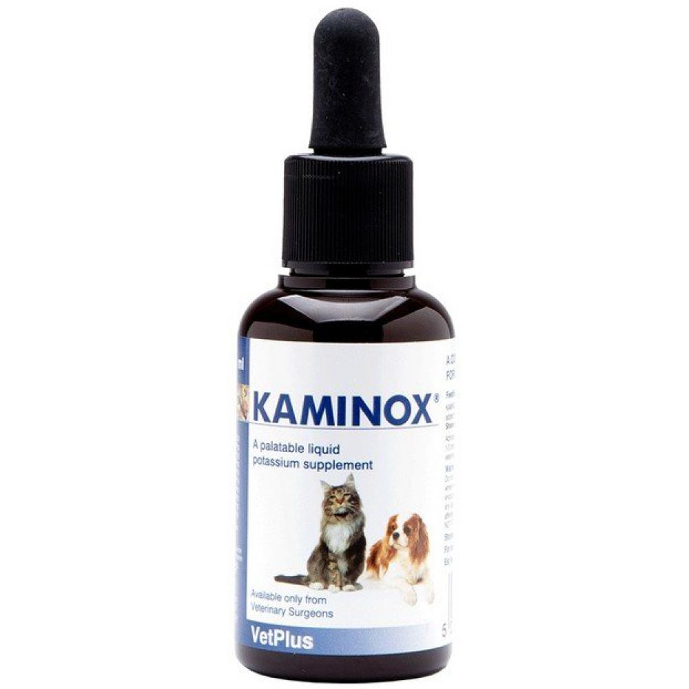 Kaminox Sciroppo 60 ml